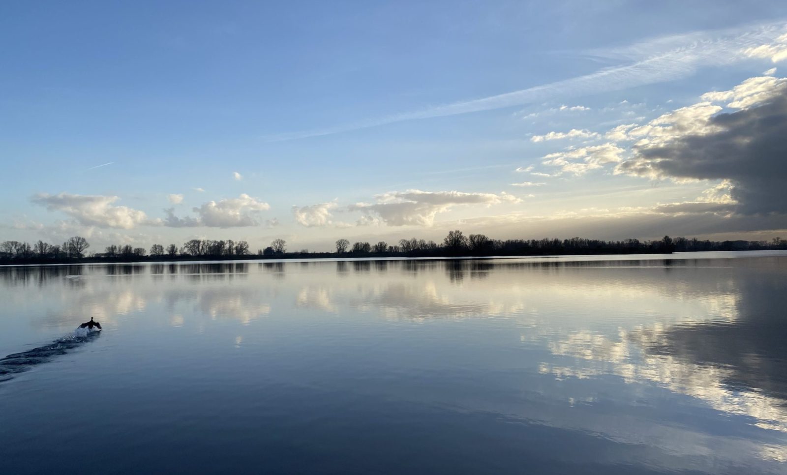 Uitzicht over het water bij Parc de Maasmeren